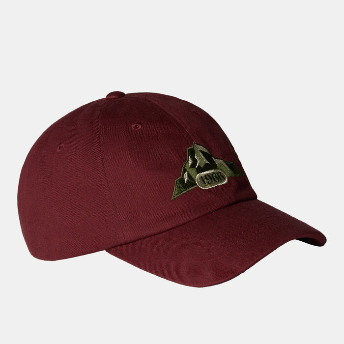 ذا نورث فيس قبعة نورم بنى image number 0