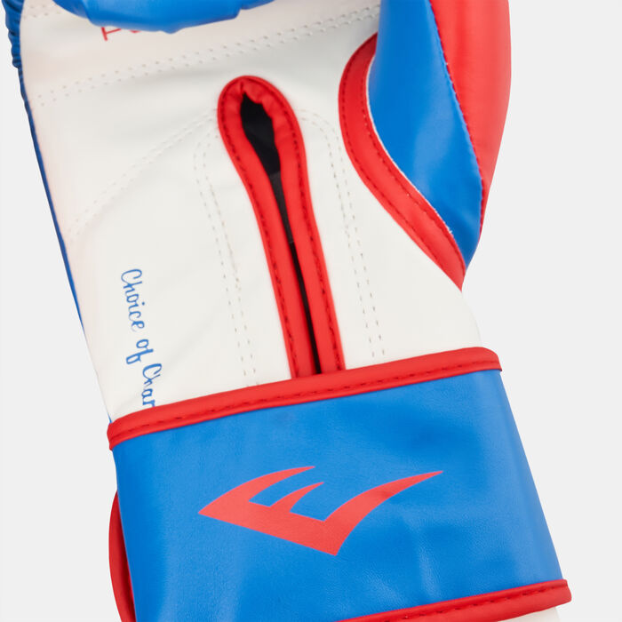 افرلاست قفازات الملاكمة باور لوك - 16 أونصة متعدد image number 2