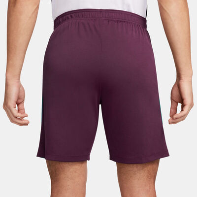 جوردن شورت كرة القدم باريس سان جيرمان سترايك دراي فت للرجال بنفسجي